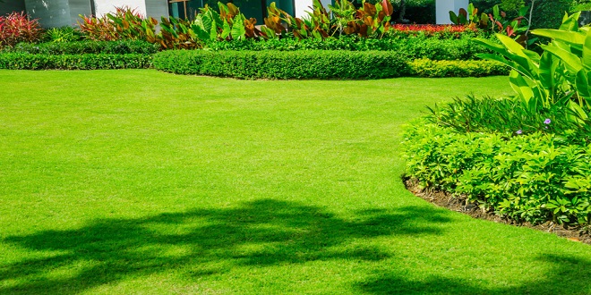                   Greener Lawn from a dependable landscaping company